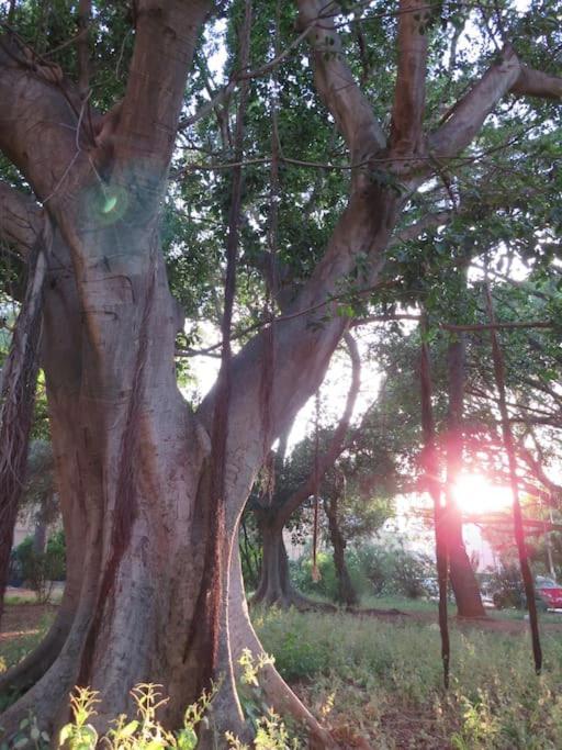 Relax Nel Verde- Giodapi Palm 巴勒莫 外观 照片